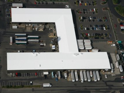 Commercial Roof Painting Services